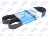 BTA B08-8PK1230 V-Ribbed Belts